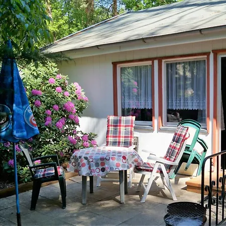 Ferienhaussiedlung Am Chossewitzer Holiday home Friedland (Brandenburg)
