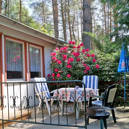 Ferienhaussiedlung Am Chossewitzer Ferienhaus Friedland (Brandenburg)